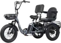 Top 10 Best Tricycles 2026